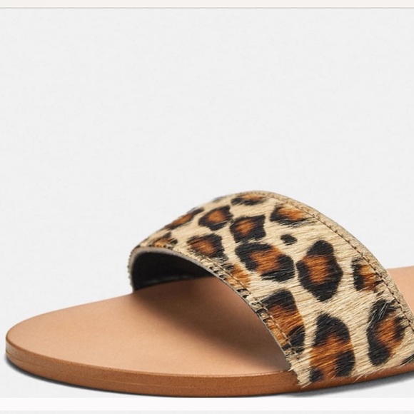 Zara Trafluc Leather Leopard Sandals - Picture 10 of 12